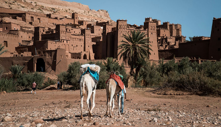 13 Days Morocco Cultural Tour, Desert And Kasbahs From Marrakech