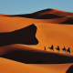 Tour da Marrakech a Fes 3 giorni - Tour nel deserto da Marrakech